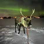 Lapland Reindeer Farm רובניימי