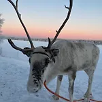 Lapland Reindeer Farm וילה