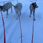 Lapland Reindeer Farm וילה רובניימי
