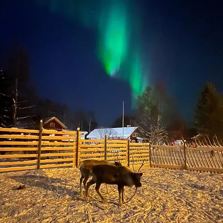 Lapland Reindeer Farm Вилла