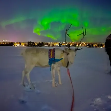 Lapland Reindeer Farm Вилла *