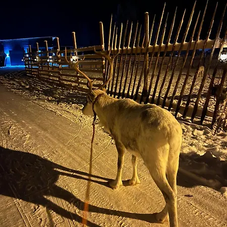 Вилла Lapland Reindeer Farm Рованиеми